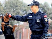  陕西咸阳：警犬训练保平安