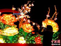  西安大雁塔夜景绚丽