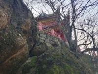 【醉美邵阳】春观·亭外亭