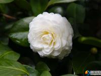 【醉美邵阳】春回大地 生机盎然