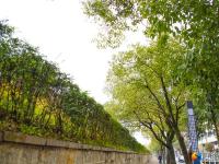【醉美邵阳】春回大地 生机盎然