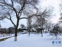  雪降“北国春城”