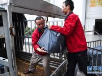  列车卧具洗涤忙