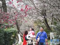  畅享春光