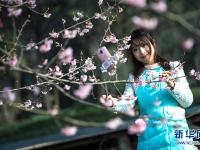  武汉东湖樱花节开幕