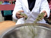  绿水青山早茶香