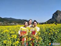 崀山首届花海旅游节开幕