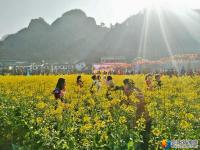 崀山首届花海旅游节开幕