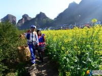 崀山首届花海旅游节开幕