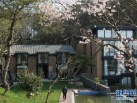  山花灿烂