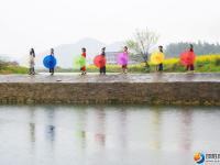 【醉美邵阳】邵东：百亩花海扮靓美丽乡村