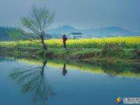 【醉美邵阳】邵东：百亩花海扮靓美丽乡村