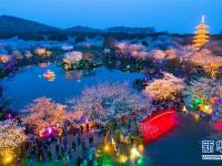  武汉：樱花缤纷醉游人