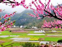  仙居：醉美田园景如画