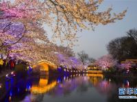  花境