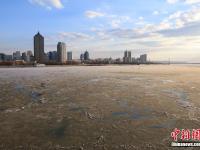  哈尔滨现“半江流水半江冰”