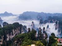  航拍张家界武陵源梦幻云海