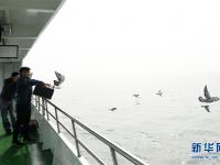  北京举行2018年骨灰撒海活动