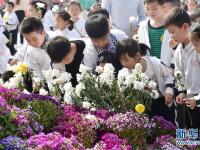  清明节前祭英烈