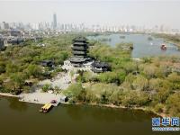  济南大明湖：春光明媚柳色新