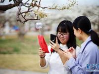  南开大学举办梨园春会
