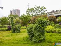 【醉美邵阳】花红叶绿绣古城
