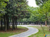 【醉美邵阳】花红叶绿绣古城