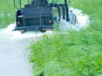  雨季将至湖水上涨 鄱阳糊畔呈现最美“水上公路”