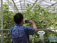  国际蔬菜科技博览会开幕