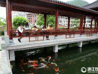  东阳：秀美山水横锦村