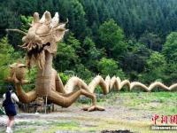 中国最大草编作品“中国龙”亮相福建