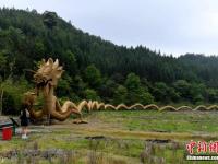 中国最大草编作品“中国龙”亮相福建