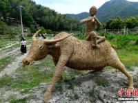 中国最大草编作品“中国龙”亮相福建