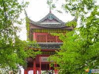 【醉美邵阳】双清公园绿树成荫
