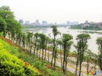 【醉美邵阳】双清公园绿树成荫