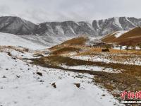  祁连山冬夏交织 山上白雪皑皑山下绿草如茵