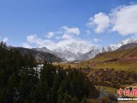  祁连山冬夏交织 山上白雪皑皑山下绿草如茵