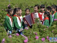  河北广宗：农旅融合助力乡村振兴