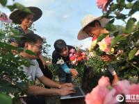  临安：美丽花卉网上卖