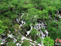  走进初夏的九寨沟光彩依旧