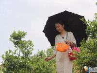 隆回三阁司：蓝莓熟了引客来