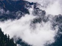  西藏林芝南伊沟雨后宛如水墨画卷
