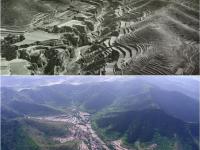  太行山上的“绿色长征”