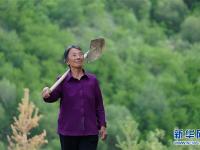  植树造林 青山为证