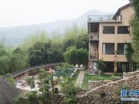  青山绿水间的生机：莫干山民宿助推乡村振兴