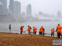 青岛：海滩清浒苔