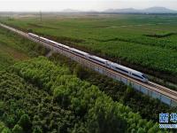  河北滦县：苗圃种植促增收