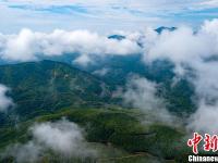  航拍江西分宜县云雾绕青山 田园入画来