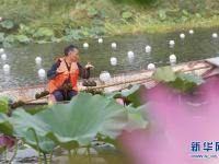  江苏泗洪：“百河千渠”披绿装