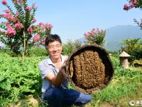  建德：养土蜂 富农家